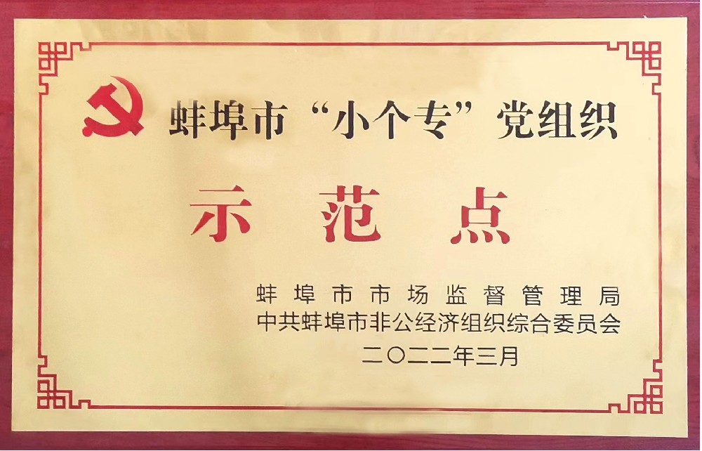 盛世新能源黨支部榮獲蚌埠市“小個專”黨組織示范點稱號