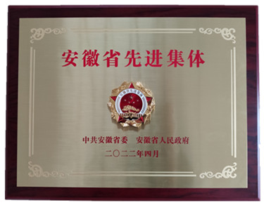 喜報省級表彰！熱烈祝賀安徽盛世新能源材料科技有限公司榮獲 “安徽省先進集體”